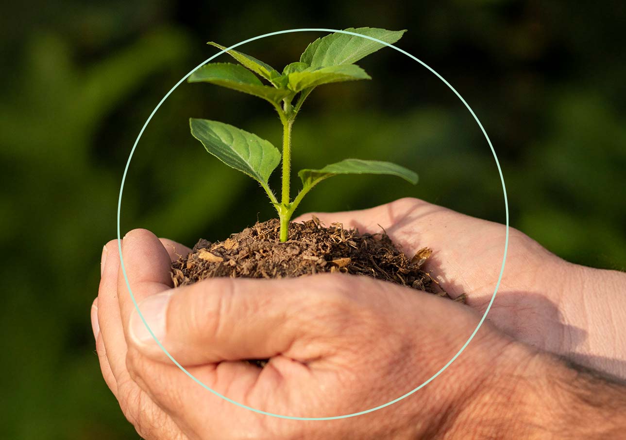 agroindustria-sustentable