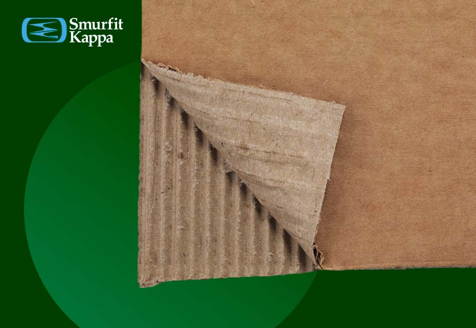 carton-ventajas-de-este-material-biodegradable