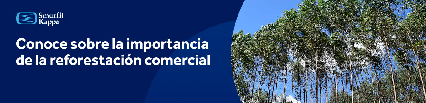 deforestacion-soluciones-tecnologicas-banner-sobre-reforestacion-comercial