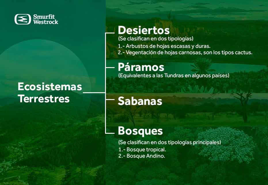 ods-15-vida-de-ecosistemas-terrestres