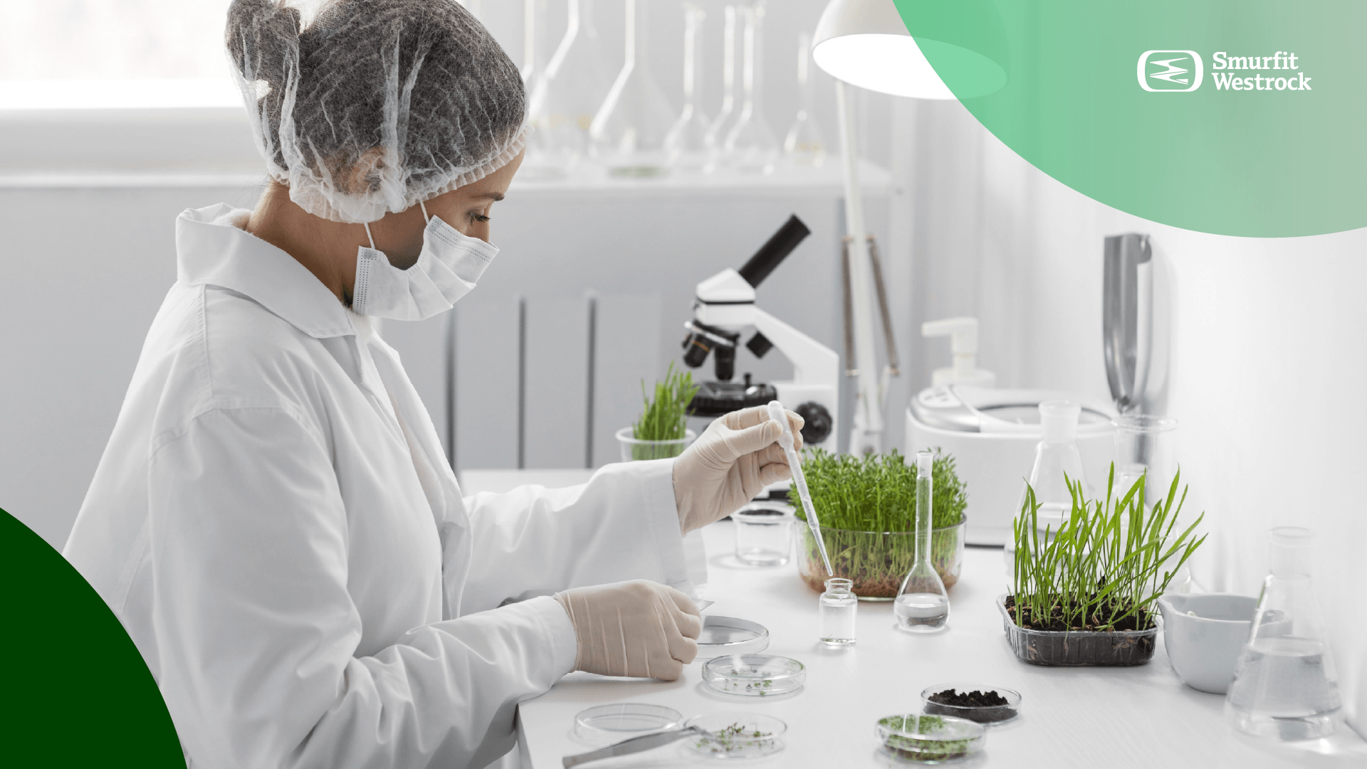 Fitomejoramiento-portada