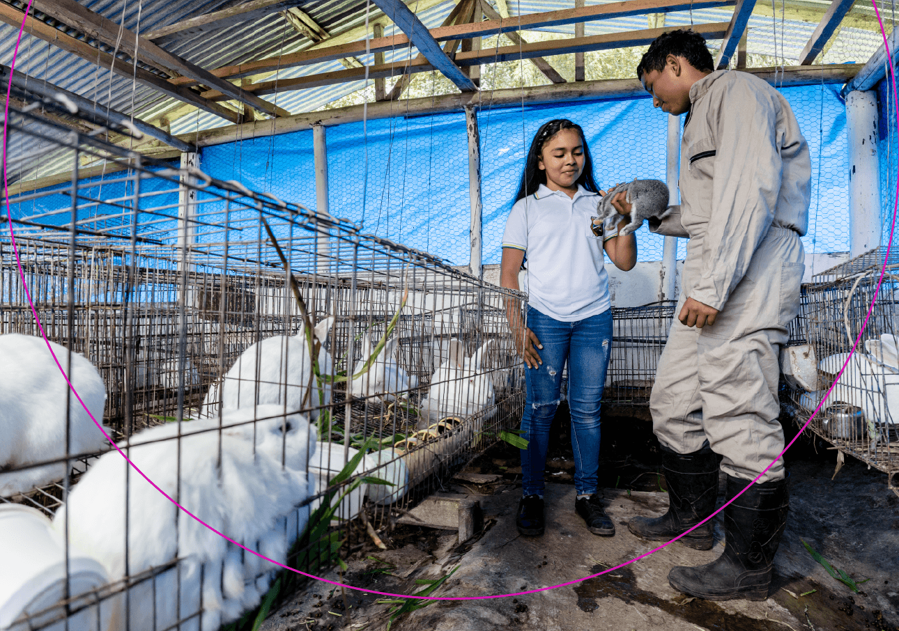 IMG2-innovacion-social