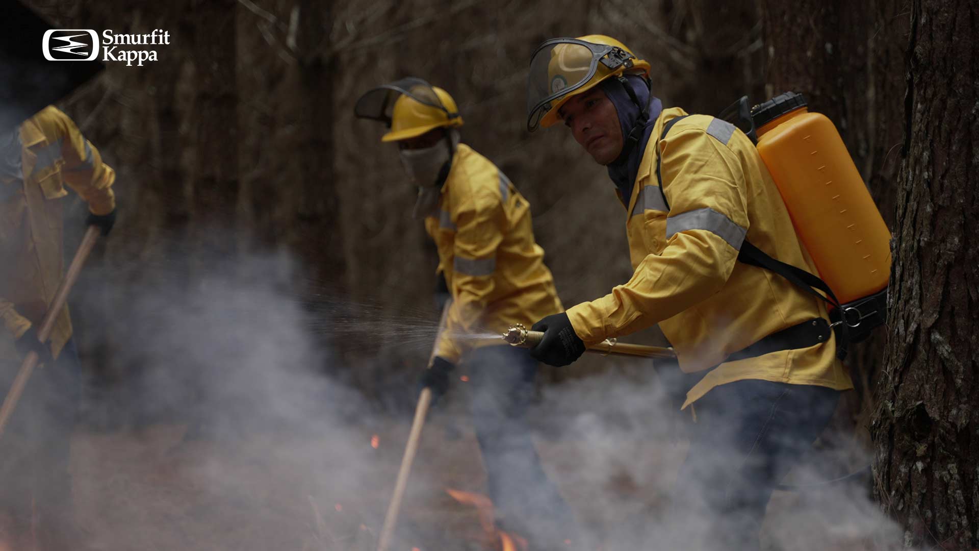 6 acciones para prevenir los incendios forestales, image size:1920x1080