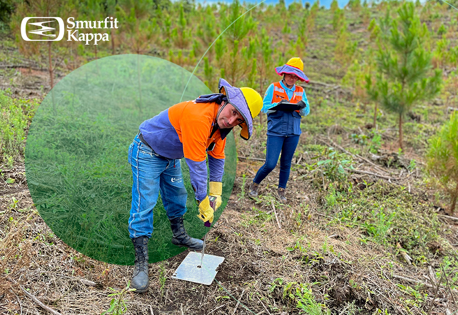 ods-15-vida-de-ecosistemas-terrestres