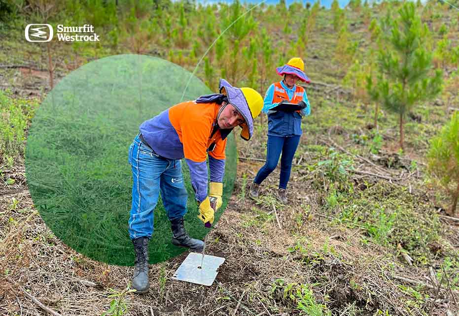 ods-15-vida-de-ecosistemas-terrestres