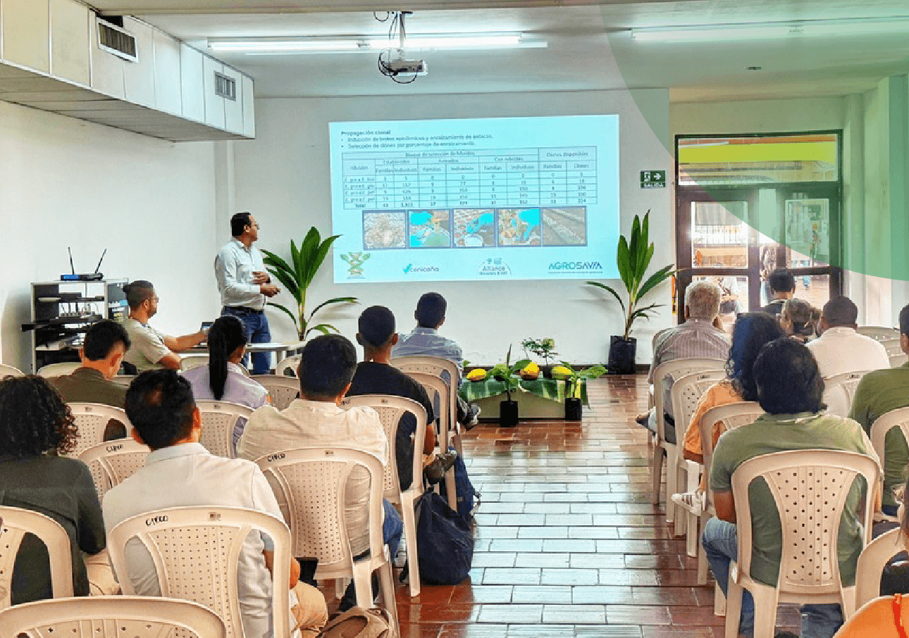 smurfit-westrock-fitomejoramiento