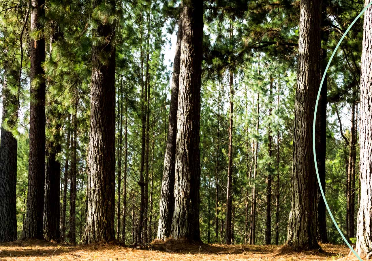 biodiversidad-y-economia