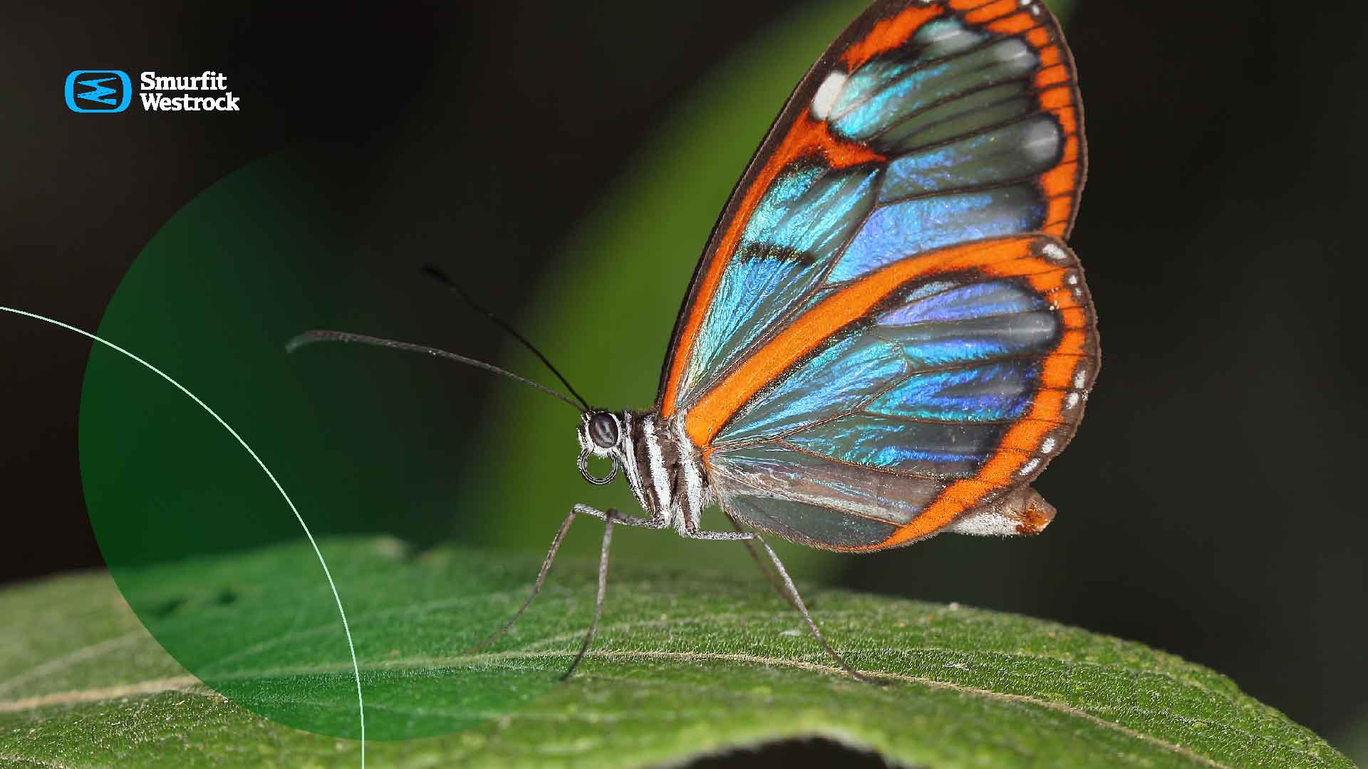 que-es-la-biodiversidad