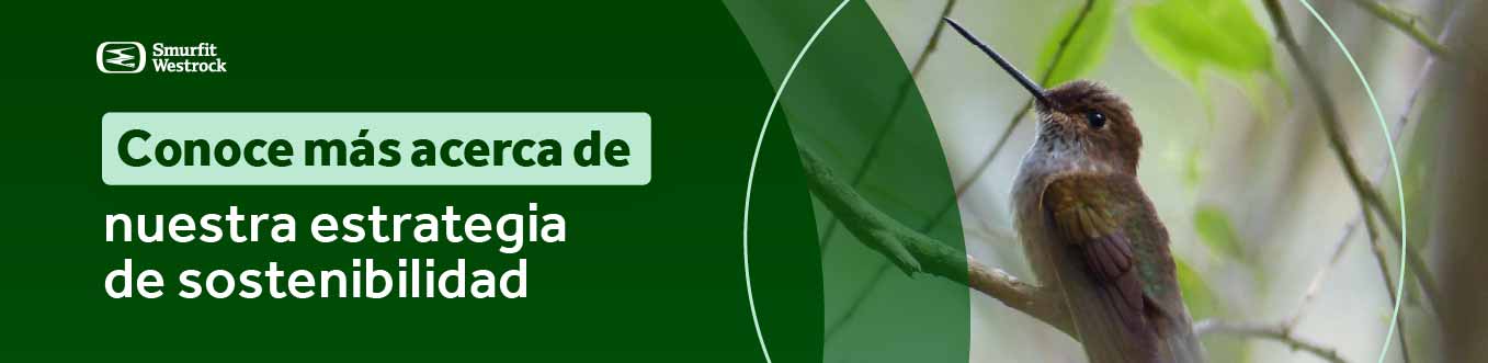 vision-y-estrategia-cta