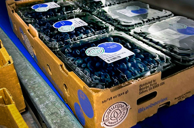 Verfrut-El-Resultado