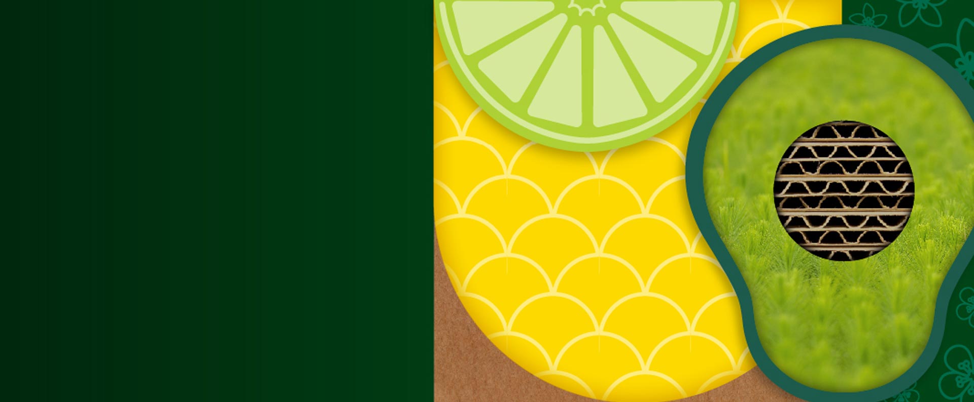 Empaques para la agro industria | Descubre el potencial de nuestra línea Agropak