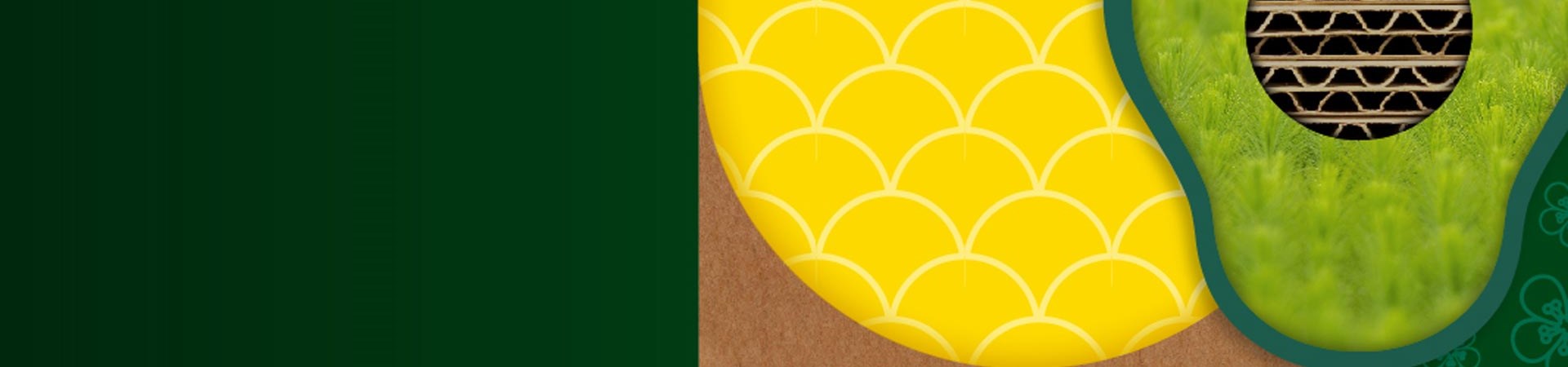 Empaques para la agro industria | Descubre el potencial de nuestra línea Agropak