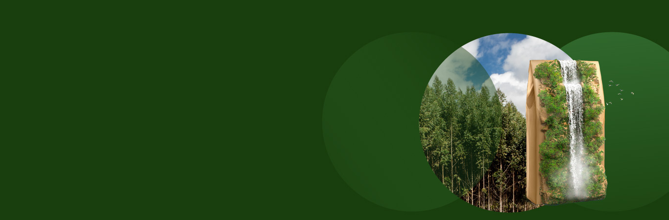 home page banner sacos 4