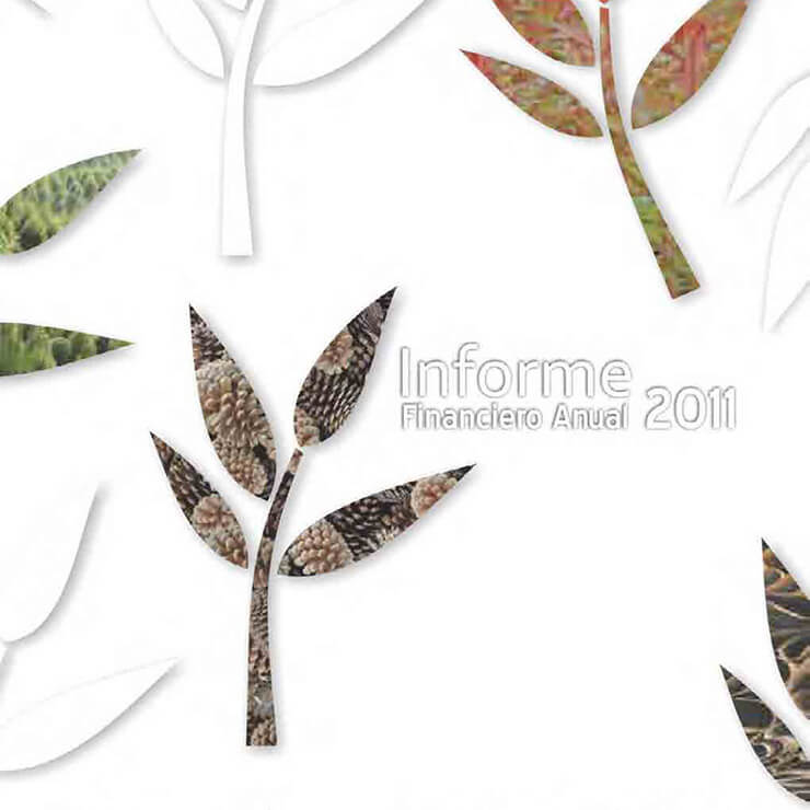 Informe Financiero Anual SKCC 2011