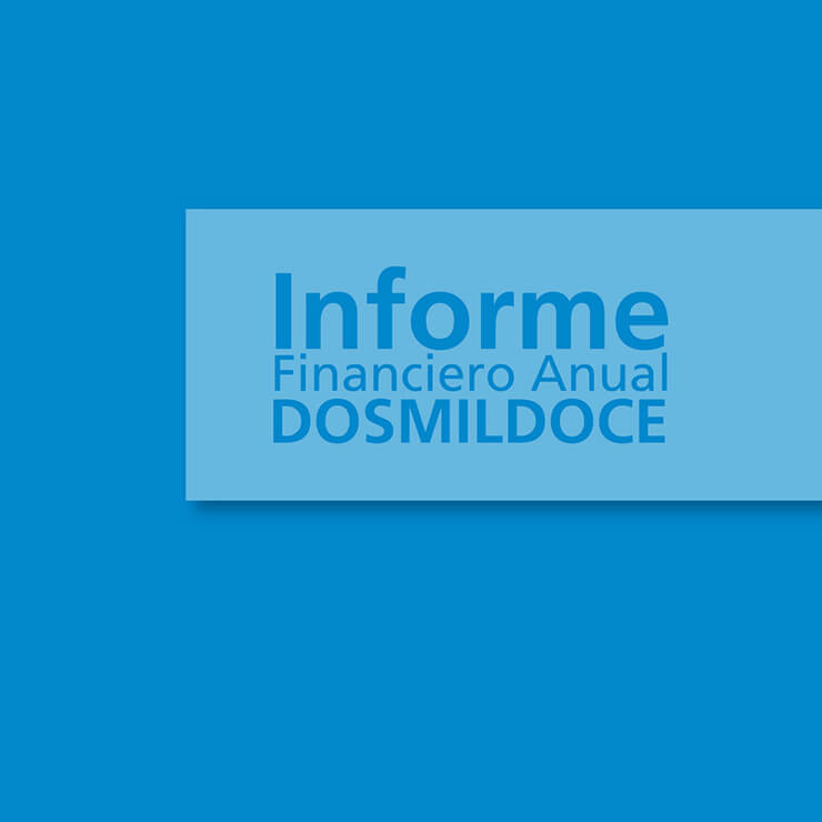 Informe Financiero Anual SKCC 2012