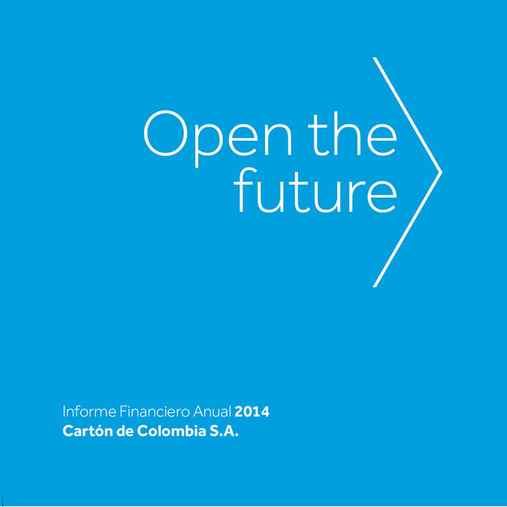Informe Financiero Anual SKCC 2014