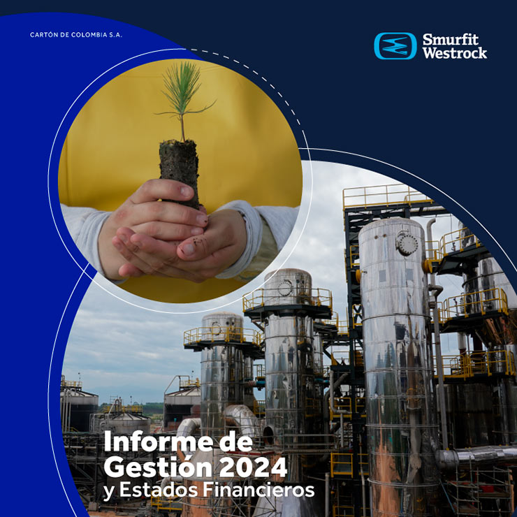 Portada-Informe-Financiero-2024-740x740px