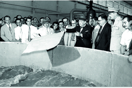 aniversario-80-sk-colombia-1944 aniversario-80-sk-colombia-1944