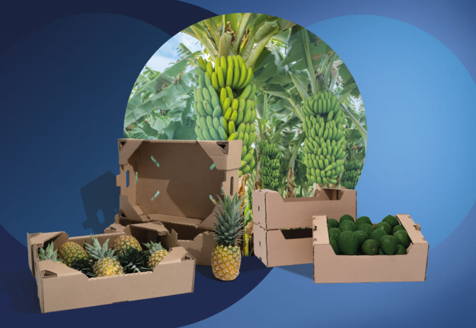 El empaque como motor del agro colombiano y la exportación