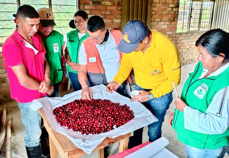 Smurfit Westrock Smurfit Westrock gana Premio Portafolio 2025 en Responsabilidad Social Empresarial