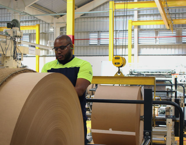 fabrica de bolsas de papel kraft en república dominicana