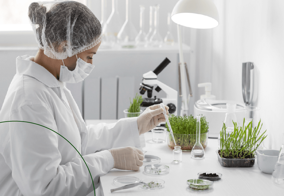 Fitomejoramiento: ¿Qué es y cómo lo aplica Smurfit Westrock?