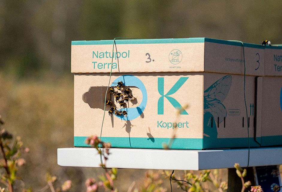 Smurfit Westrock dosáhl historického rekordního úspěchu v soutěži OBAL ROKU 2025!