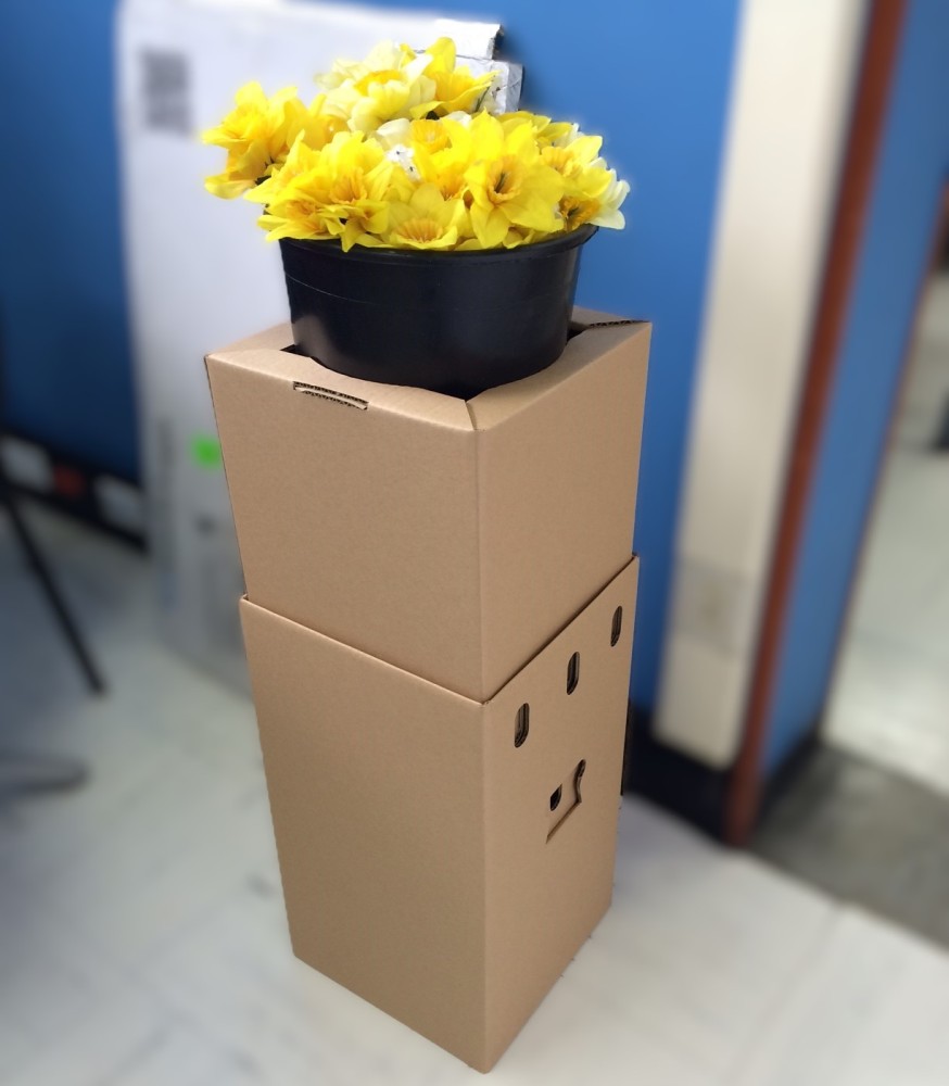 boletin-circular-agosto-wetpack