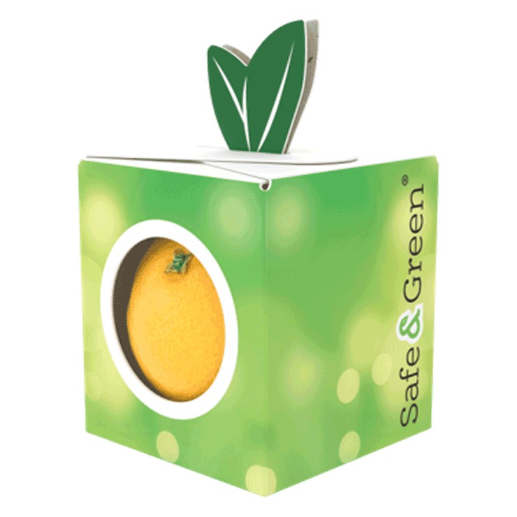 Canastas de frutas promoción 