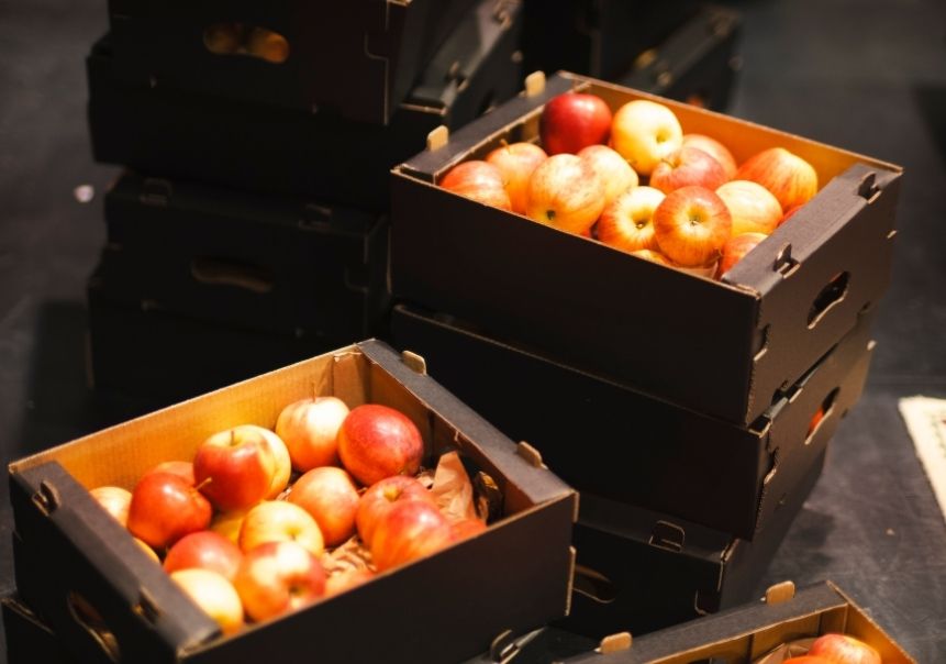Innovacion-sector-alimentos-portada