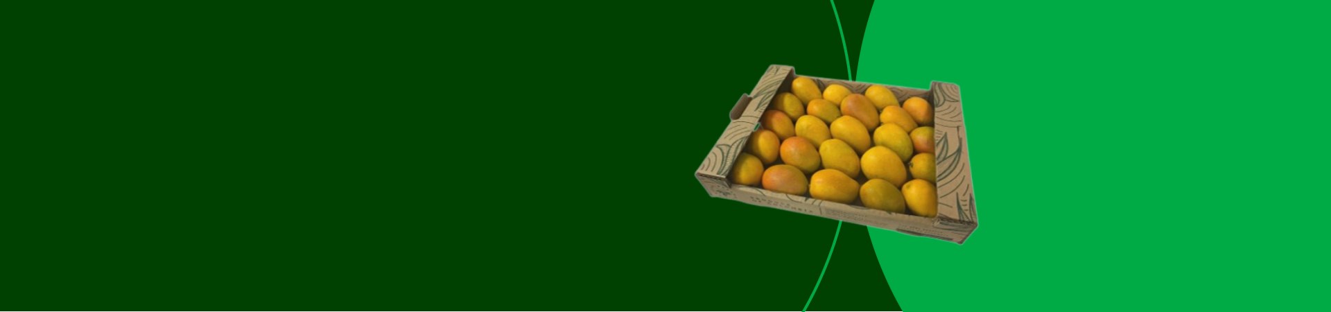 caribbean-exotics-banner