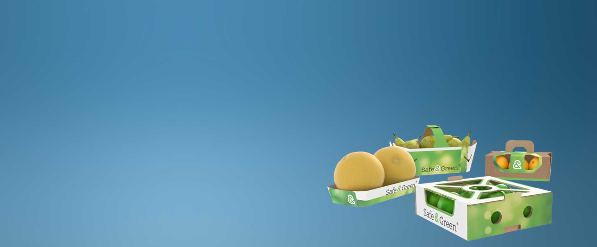 Punnets de cartón, barquetas de cartón, punnets para fruta, barquetas para fruta