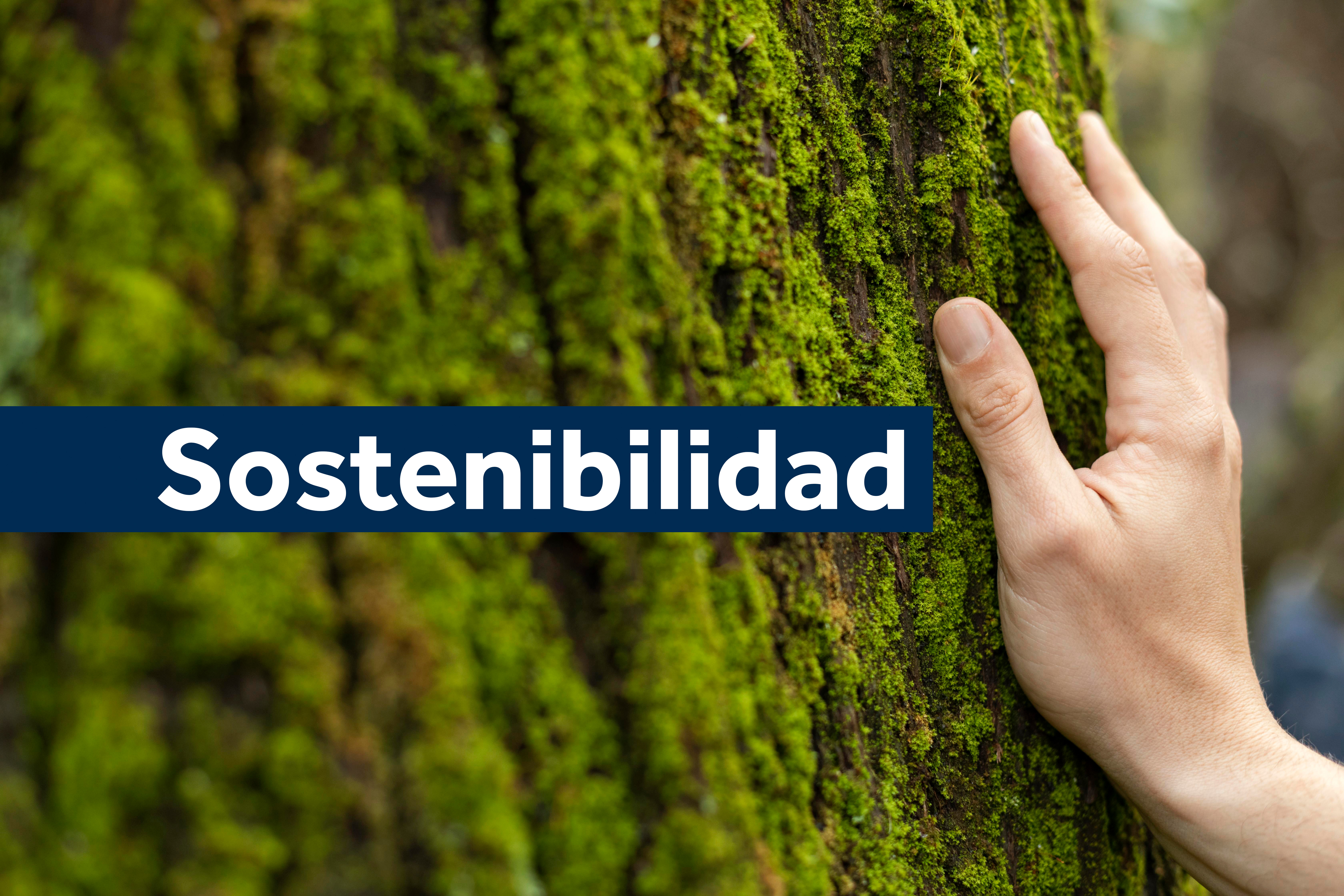 sostenibilidad