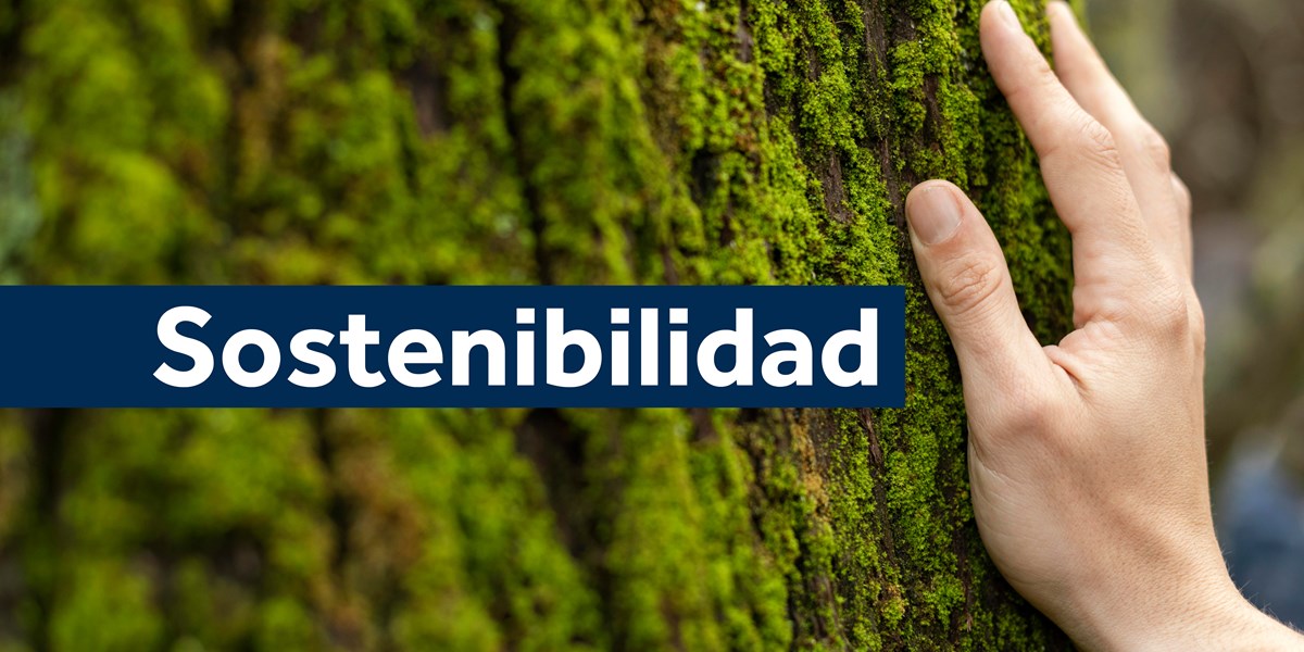 sostenibilidad