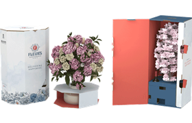 Embalaje para flores, cajas para flores