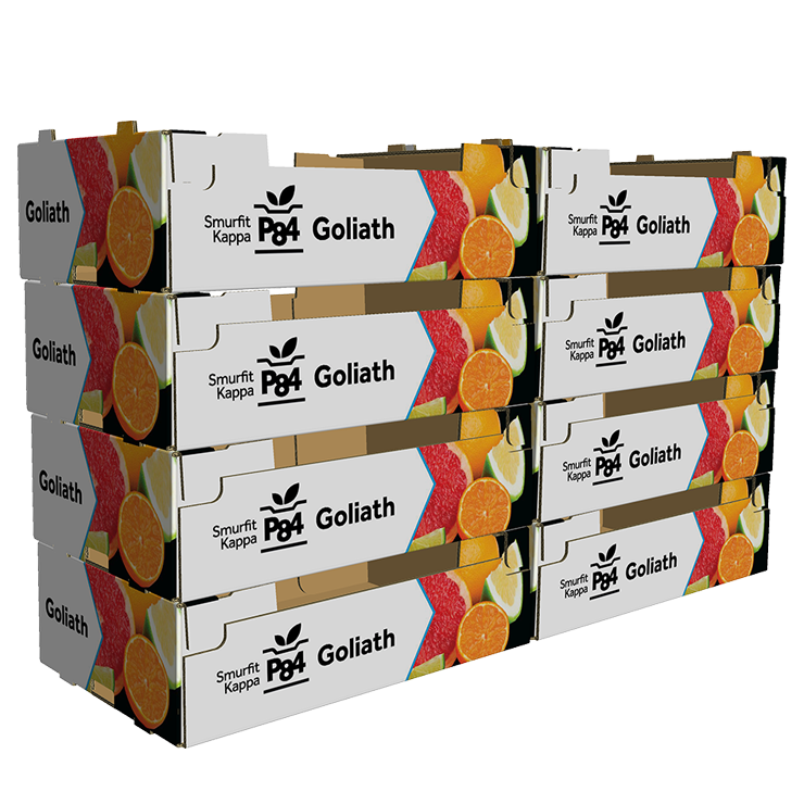 embalaje-sistema-p84