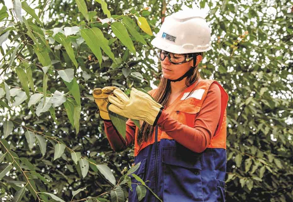 Smurfit Kappa lanza su primer Informe de Asignación e Impacto de sus Bonos Verdes