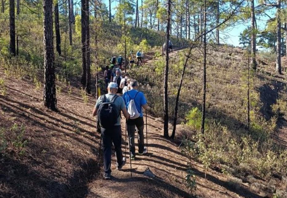 Smurfit Westrock apuesta por la sostenibilidad con la celebración del Gran Canaria Walking Festival 2025