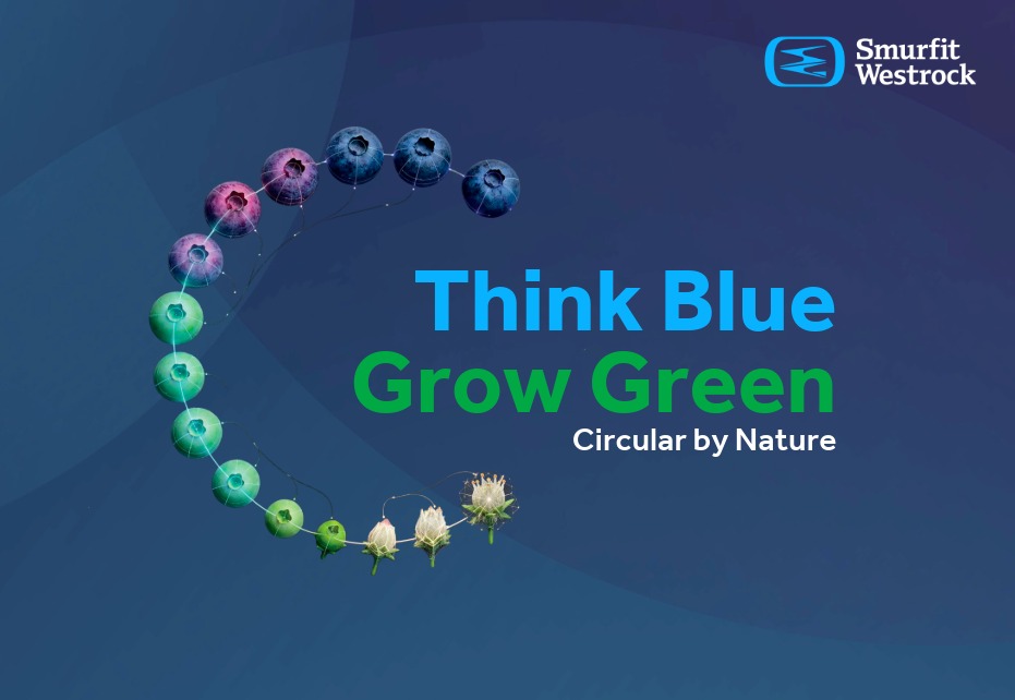Smurfit Westrock transforma el futuro del envase hortofrutícola con soluciones diseñadas para cada reto de la cadena de valor