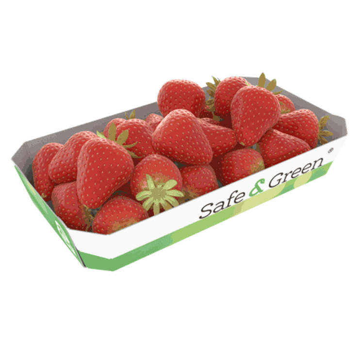 Barquette en carton octogonale pour petits fruits et légumes comme les fraises
