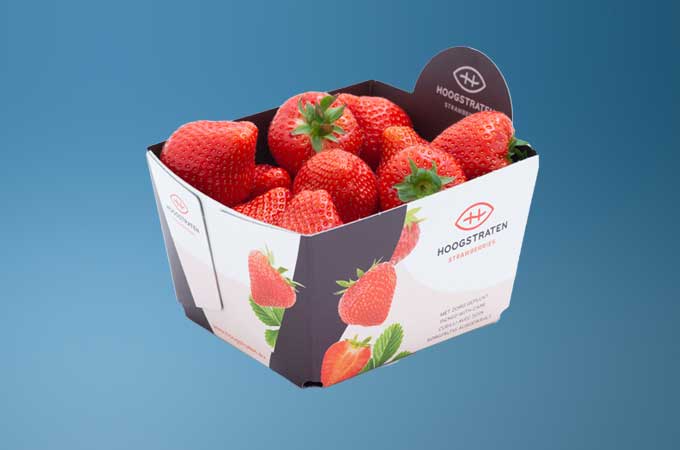 En adoptant des barquettes de fraises à base de papier, Hoogstraten a éliminé 700 000 kg d'emballages en plastique par an