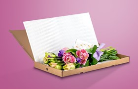 Flower cushion pad liners