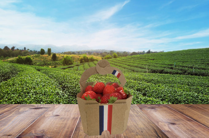 strawberry punnet, fruit punnet, strawberry packaging, fruit packaging
