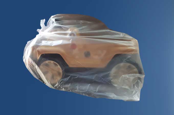 Toy-in-bag