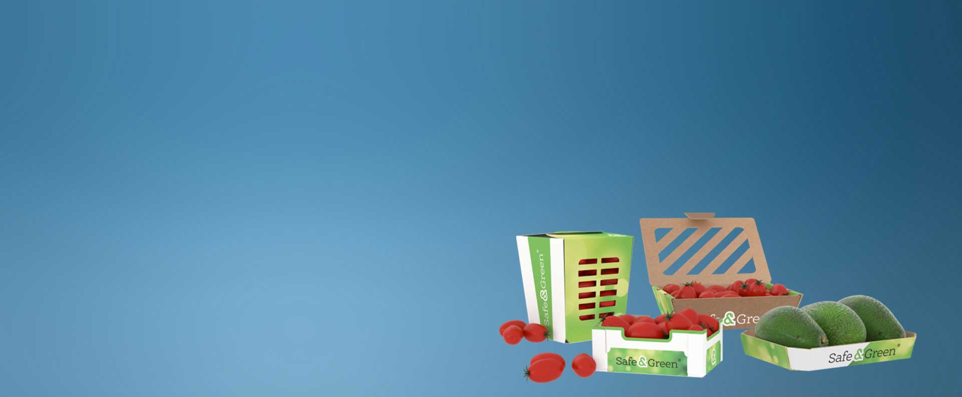 Cardboard punnets, Vegetable punnets, punnets for vegetables