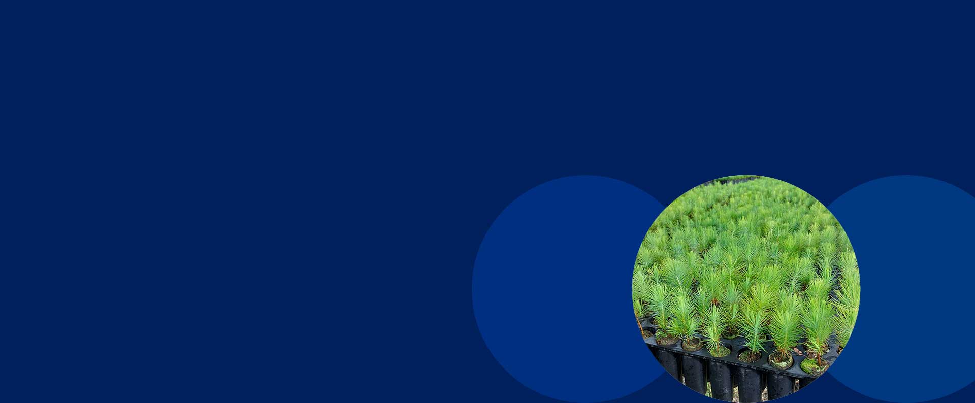 Colombia 20 years Forest Management