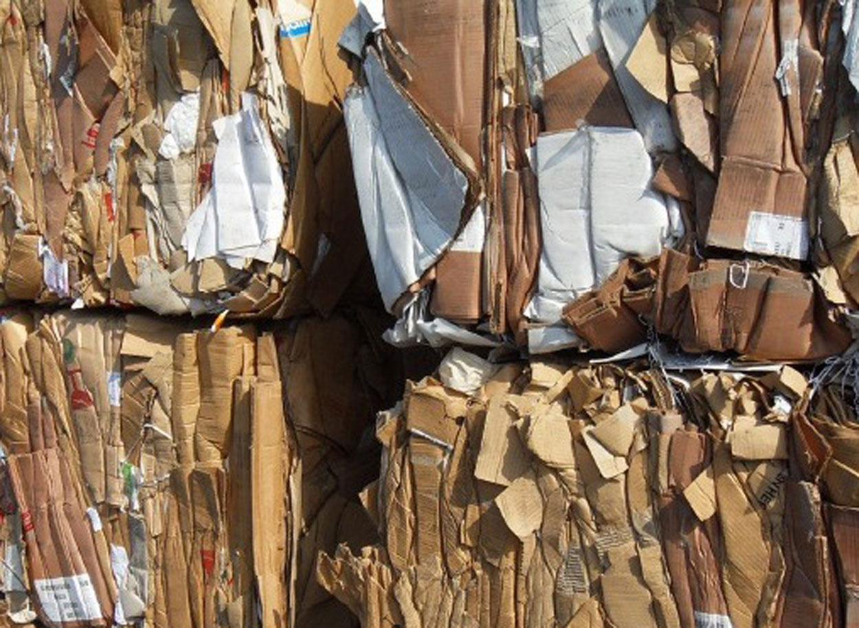 Paper Recycling, Cardboard Recycling