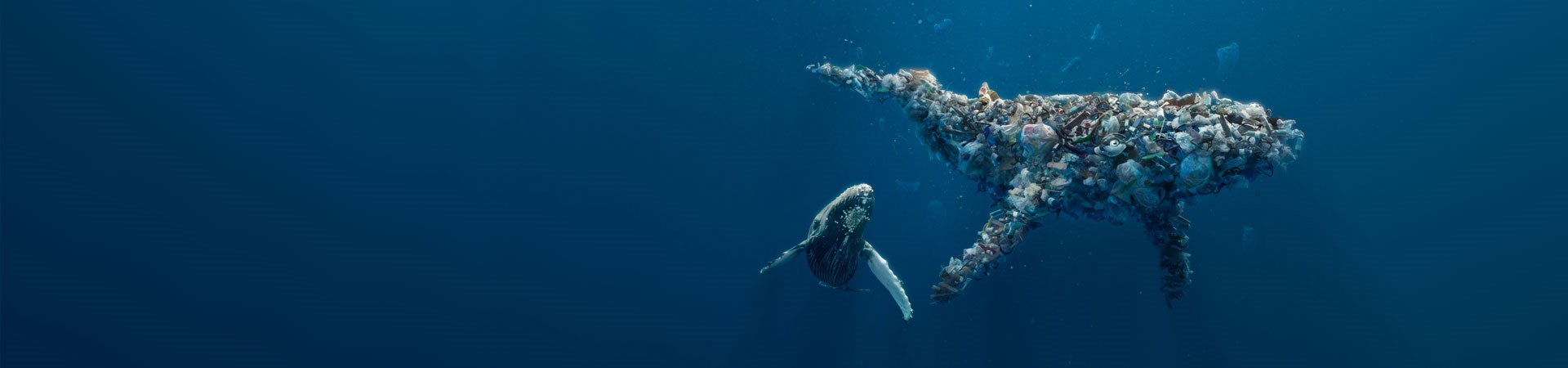 Better Planet Packaging