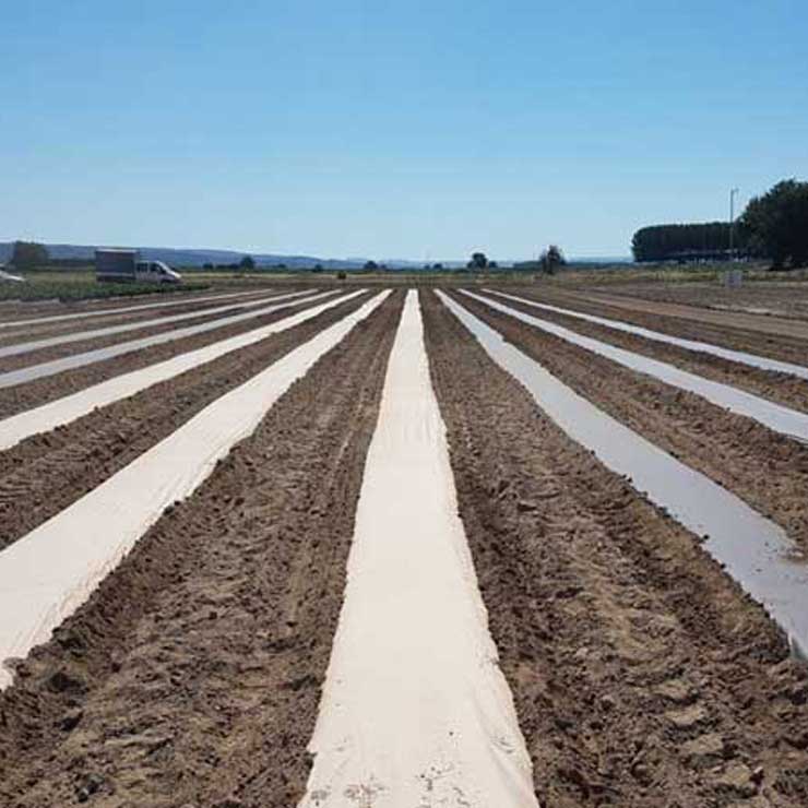 Agropaper