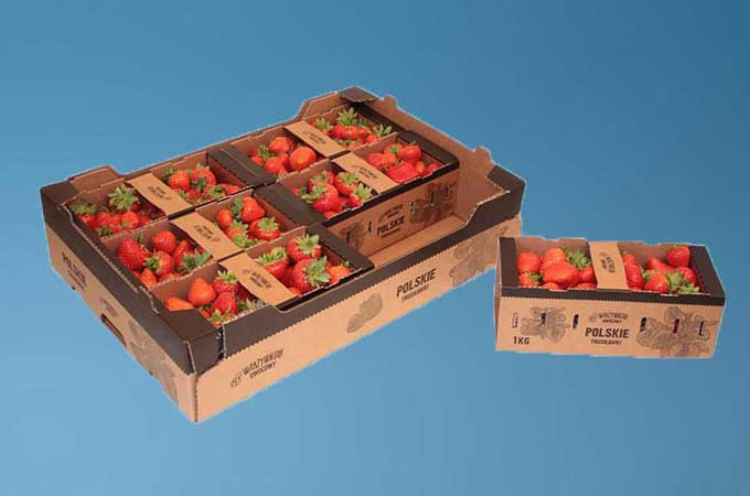 Our sustainable packaging solution for SoFruPak leads to 50% increase in sales and a 70% reduction in storage space